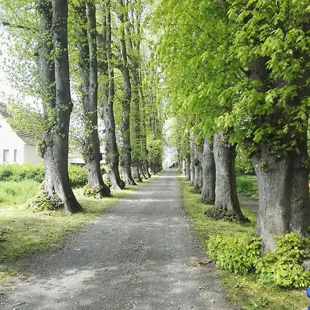 Ferienwohnung Haus Sommerwind Juliusruh Exterior foto
