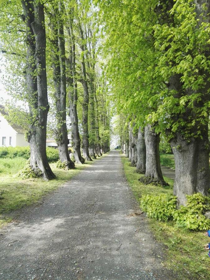Haus Sommerwind Ferienhaus *